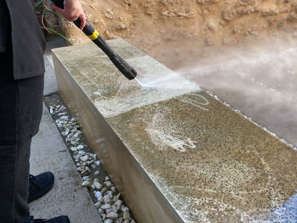 Best Roof Pressure Washing  in Newark, TX